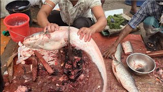 Amazing Giant Wallago Attu BOAL Fish Cutting Skills  Fish Cutting Skills [upl. by Ahsiele]