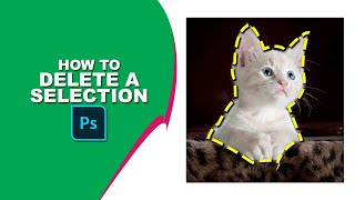 How to delete a selection in Photoshop [upl. by Elwina705]