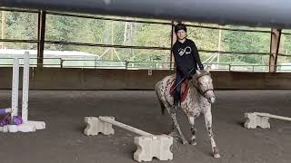 Horseback Riding Lesson on Confetti 🎊 Late [upl. by Anelas]