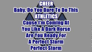 Cheer Athletics Swoosh Cats 20132014 Lyrics [upl. by Aciamaj]