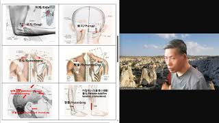 동맥경화 치유  Healing of arteriosclerosis [upl. by Cheyne]