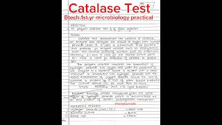 Catalase test Btech 1st yr microbiology practical microbiology ytshorts shorts aceyournote [upl. by Nylsaj110]