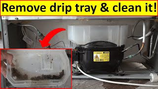 How to clean your fridge freezer drip tray [upl. by Neyrb]