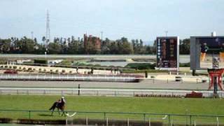 2009 第39回高松宮記念G1 中京競馬場 [upl. by Topliffe]