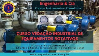 31  32 O Que É Gaxeta E Como Funciona  CURSO VEDAÇÃO INDUSTRIAL DE EQUIPAMENTOS ROTATIVOS [upl. by Sill]