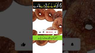 5 Injeer Khane Ke 2 Fayde  Anjeer khane ke fawaid  Figs Health Benefits in urdu hindi anjeer [upl. by Asilram501]