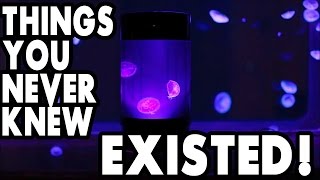 Things You Never Knew Existed  Lokey Review [upl. by Allekim54]