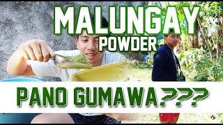 HOW TO MAKE MORINGA Malungay  POWDER  TAGALOG PPFFSOUTH PPFF [upl. by Hasina]