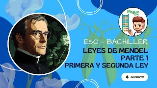 Leyes de Mendel Parte 1 Primera y segunda Ley  ESO y Bachillerato  Migue Bio [upl. by Eimam]