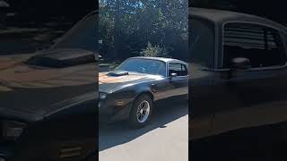 79 Trans am [upl. by Judah]