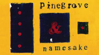 Pinegrove  Namesake [upl. by Sontag978]