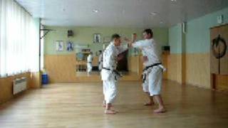 Okinawa Goju Ryu Karate Jodan Chudan Tsuki Uke Drill [upl. by Aicilyt]