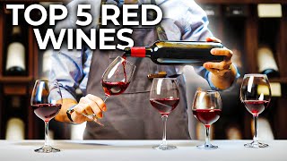 The Best Red Wines for Beginners [upl. by Idnam400]