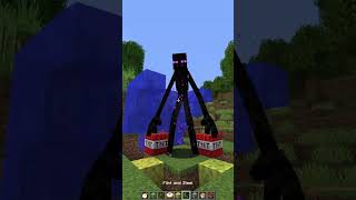 When Village Hero have Ping Issues shorts meme minecraft [upl. by Nylodnewg]