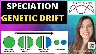 SPECIATION amp GENETIC DRIFT Disruptive selection leads to speciation allopatric amp sympatric [upl. by Akinwahs]