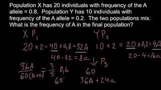 How migration affect allele frequencies [upl. by Ecenaj]