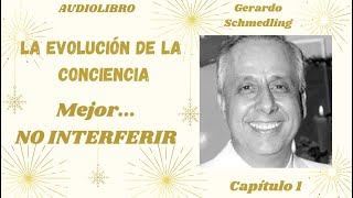 9  ¿Como hacer para NO INTERFERIR en la Experiencia del Otro  Gerardo Schmedling [upl. by Ginder]