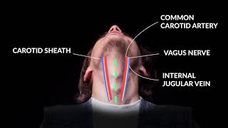 How to Perform An Emergent Cricothyrotomy Emergency Medicine  Your Design Medical [upl. by Leachim585]