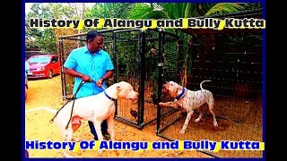 History and origin of Tamilnadu Alangu Dog and Bully Kutta அலங்கு நாய் [upl. by Shwalb]