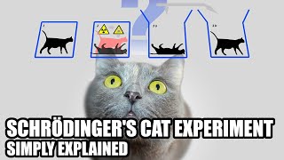 What Is Schrödingers Cat Experiment Simply Explained [upl. by Asta]