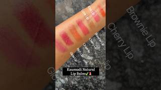 Kaumudi Handmade 100 natural lip balm swatch by Satwa Naturals 💫 lipbalm lipcare [upl. by Eeladnerb]