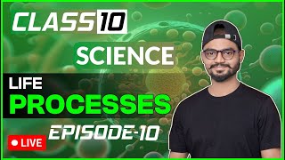 EPISODE  10 LIFE PROCESSES  TRANSPORTATION IN PLANTS [upl. by Ehcsrop]