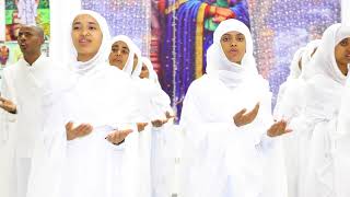 quotናይ ጸልማት ዘመን ተወዲኡquot ናይ መድረኽ መዝሙር Eritrean Orthodox Tewahdo mezmur [upl. by Templer727]