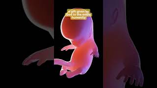 Miracle of Life Baby Development in the Womb Week by Week [upl. by Ahsaeym130]