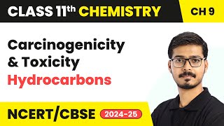 Carcinogenicity and Toxicity  Hydrocarbons  Class 11 Chemistry Chapter 9  CBSE 202425 [upl. by Aniala]