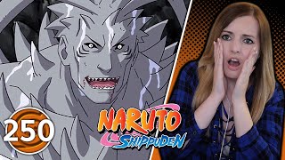 Kisame VS Guy  Naruto Shippuden Episode 250 Reaction [upl. by Debbie]