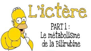 L’ictère de A à Z  Part 1  Le métabolisme de la bilirubine [upl. by Marva]