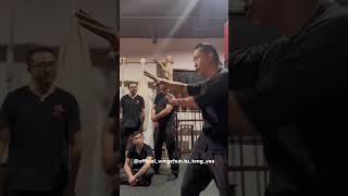 Mastering Wing Chun Exploring the Effective Horizontal Palm Technique  Master Tu Tengyao [upl. by Aleek]