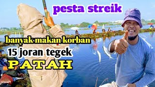 pesta streik banyak makan korban 15 joran tegek patah [upl. by Novej]