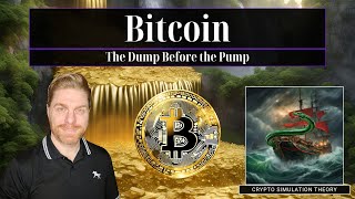 Bitcoin The Dump Before the Pump [upl. by Riddle714]