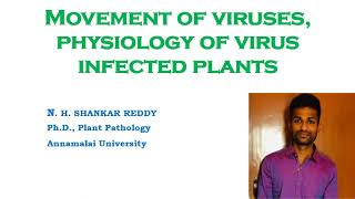 Movement of Viruses  Physiology of Virus Infected Plants  Plant Virology  MSc Plant Pathology [upl. by Weaks541]