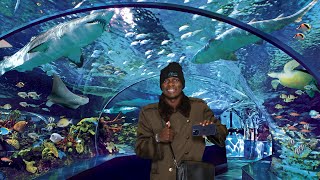 INSIDE CANADA BIGGEST AQUARIUM  “RIPLEYS AQUARIUM of CANADA 🦈🐟” [upl. by Adnorehs]