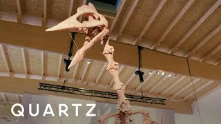 This giraffesized pterodactyl has scientists minds blown [upl. by Adieno]