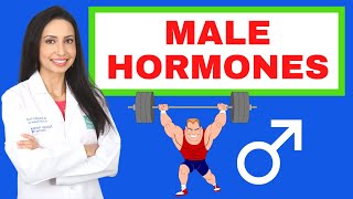 Male Hormones Hows your testosterone and estrogen [upl. by Othello750]