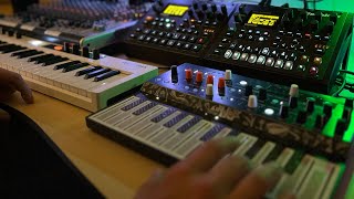 Happy Live Looping  Digitakt Digitone Microfreak RC505 Zoom MS70CDR [upl. by Aihcats]