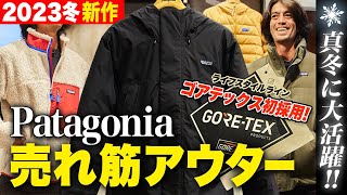 【2023年新作】パタゴニアの売れ筋冬アウターをスタッフが発表！ 話題のゴアテックスダウンも登場【30代】【40代】【50代】 [upl. by Enelec532]