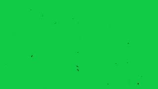 VHS Green Screen Effect  Retro Film Dust Effect Overlay  Free Download  Copyright Free [upl. by Cecilia]