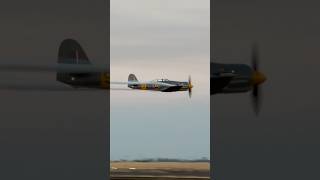 The Hawker Sea fury shorts aviation [upl. by Llenej446]