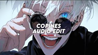 copines Aya Nakamura  audio edit slowed  reverb [upl. by Ahsimot]