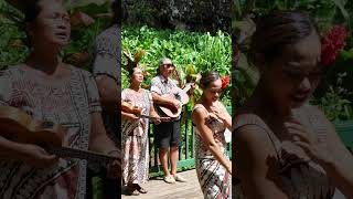 Kauai The Garden Isle Hanapepe Waimea Falls amp Fern Grotto  Short [upl. by Stonwin828]