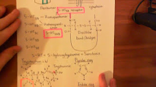 5HT3 Receptor Antagonists Part 2 [upl. by Junius]