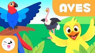 Las Aves para niños  Animales vertebrados  Ciencias naturales para niños [upl. by Carilyn1]