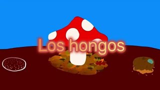 Los hongos [upl. by Arvie]