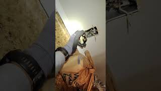 Shocking GFCI Fix Licensed Electrician Exposes Hazardous Wiring amp Restores Power to Receptacles [upl. by Rosemaria]