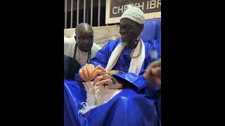 Serigne hamzatou mbacke mbectei mi souma guedjeu rekkk [upl. by Hillard]