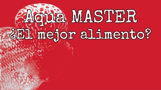 Aqua Master el mejor alimento para ciclidos todo lo que debes saber [upl. by Ayaladnot631]